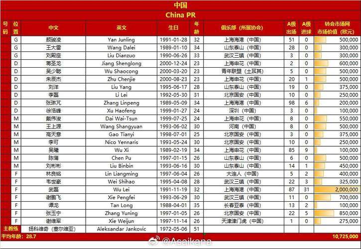 02年世界杯中国队球员名单