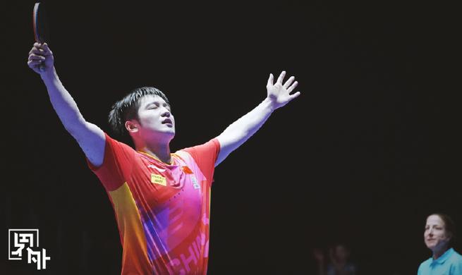2013年乒乓球世锦赛樊振东